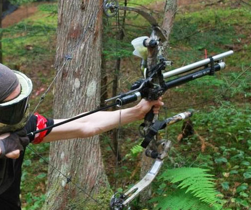 Stealth Precision Crossbow